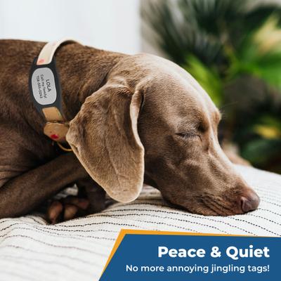 Show full view: GoTags Engraved Silent Silicone Personalized Dog & Cat ID Tag, Teal, Small slide 2 of 8