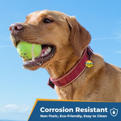 GoTags Silent Silicone Personalized Dog ID Tag