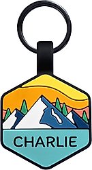 GoTags Silent Silicone Personalized Dog ID Tag, Mountain Orange