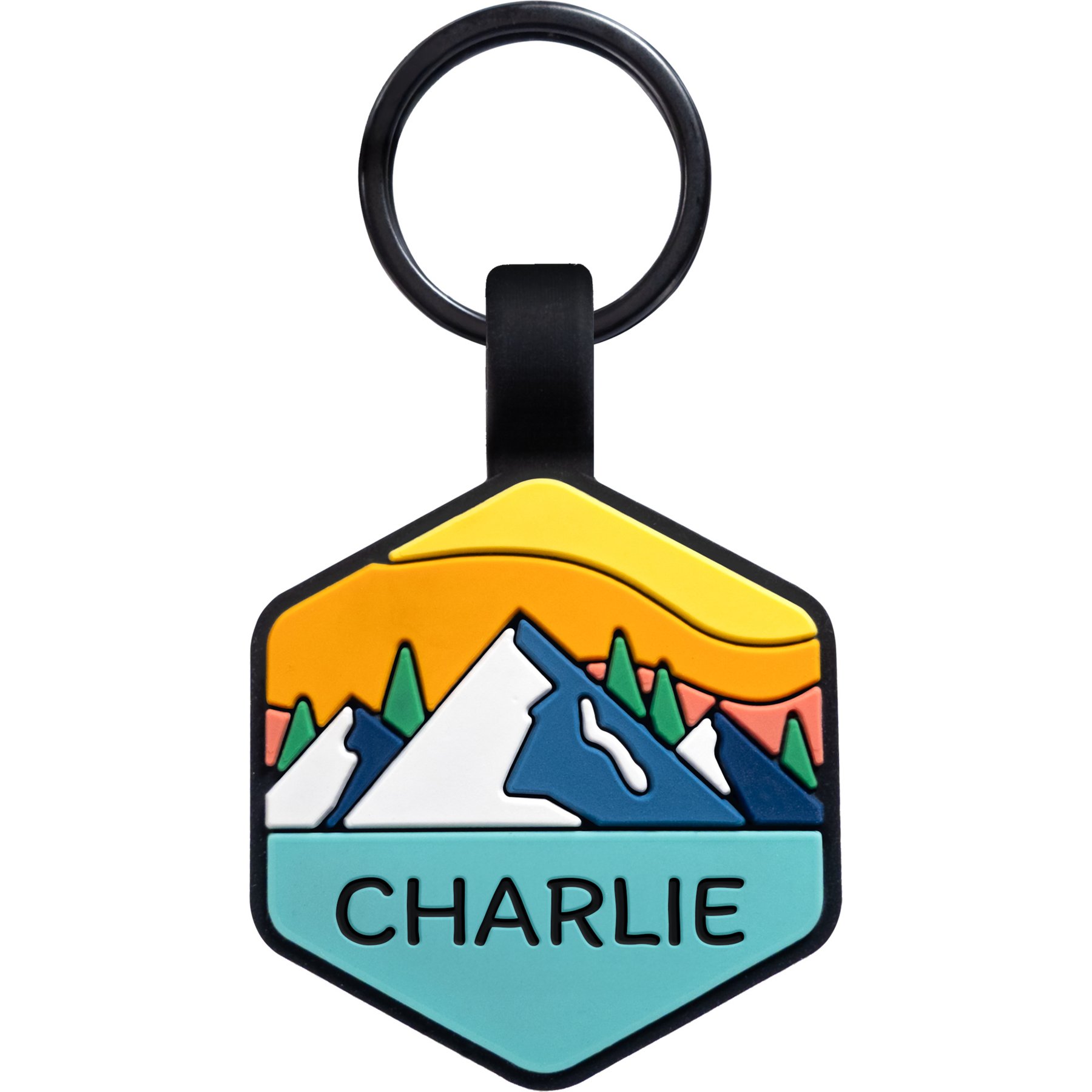 GoTags Silent Silicone Personalized Dog ID Tag, Mountain Orange