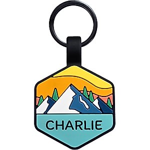 GoTags Silent Silicone Personalized Dog ID Tag, Mountain Orange
