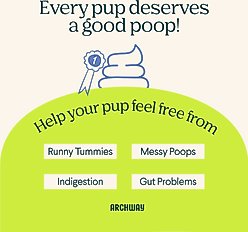 Archway Digestive Health Functional Soft & Chewy Treat Supplement for Dogs, 5-oz bag slide 2 of 3