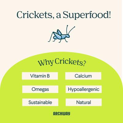 Show full view: Archway Better Biscuit Peanut Butter Crunchy Dog Treats, 5-oz bag slide 4 of 10