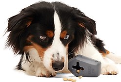 BARK The Drac Pack Halloween Snack Casket Treat Dispensing Dog Toy slide 2 of 7