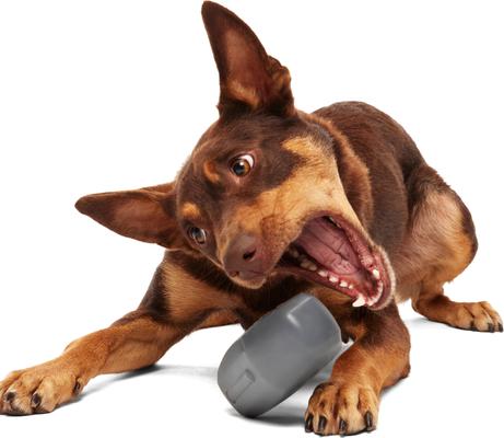 Show full view: BARK The Drac Pack Halloween Snack Casket Treat Dispensing Dog Toy slide 6 of 8