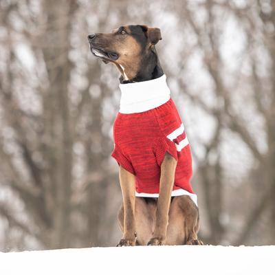 Show full view: GF Pet Trekking Dog Sweater, Red, Medium slide 6 of 10