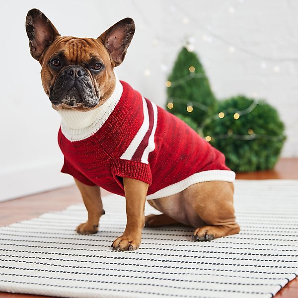 Show full view: GF Pet Trekking Dog Sweater, Red, Small slide 4 of 8