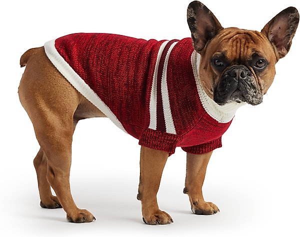 Show full view: GF Pet Trekking Dog Sweater, Red, Small slide 1 of 8