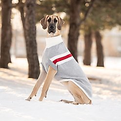 GF Pet Trekking Dog Sweater, Grey Mix, Medium slide 2 of 5