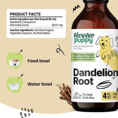 Show full view: Forever Puppy Dandelion Root Drops Liver Supplement for Dogs, 4-fl oz bottle slide 6 of 10