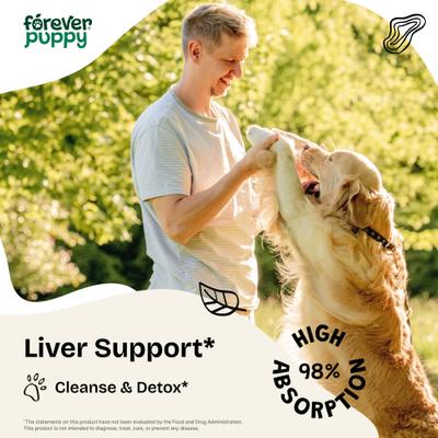 Show full view: Forever Puppy Dandelion Root Drops Liver Supplement for Dogs, 4-fl oz bottle slide 3 of 10