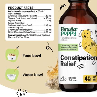 Show full view: Forever Puppy Constipation Relief Drops Digestive Supplement for Dogs, 4-fl oz bottle slide 6 of 10