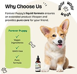 Forever Puppy Licorice Root Drops Respiratory Supplement for Dogs, 4-fl oz bottle slide 2 of 7