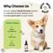Show in main carousel: Forever Puppy Licorice Root Drops Respiratory Supplement for Dogs, 4-fl oz bottle slide 5 of 9