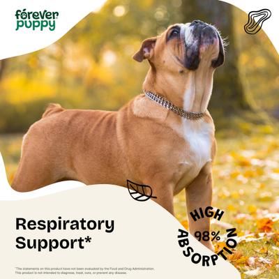 Show full view: Forever Puppy Licorice Root Drops Respiratory Supplement for Dogs, 4-fl oz bottle slide 3 of 9