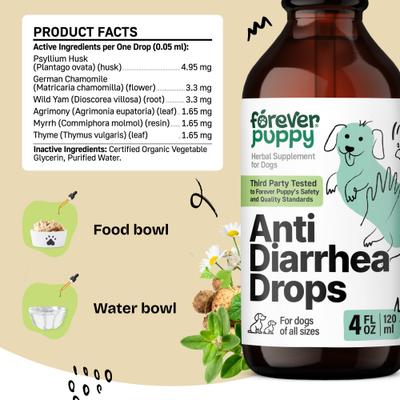 Show full view: Forever Puppy Anti Diarrhea Drops Digestive Supplement for Dogs, 4-fl oz bottle slide 6 of 10