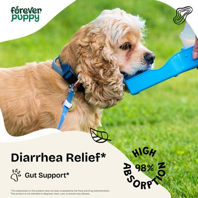 Show full view: Forever Puppy Anti Diarrhea Drops Digestive Supplement for Dogs, 4-fl oz bottle slide 3 of 10