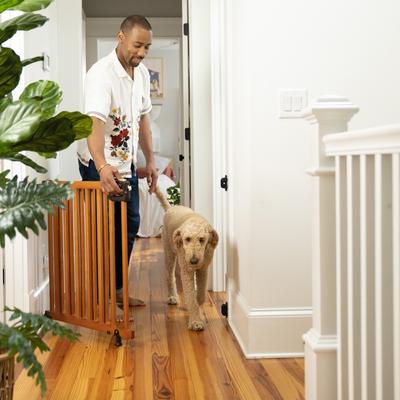 Show full view: Summer by Ingenuity Stairway 48W Series Dog & Cat Gate, Brown slide 5 of 9