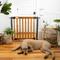 Show in main carousel: Summer by Ingenuity Thruway 60XW Series Extra Wide Safety Dog & Cat Gate, Honey Oak slide 3 of 8