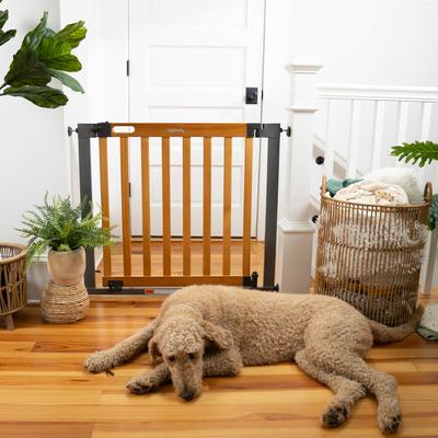 Show full view: Summer by Ingenuity Thruway 60XW Series Extra Wide Safety Dog & Cat Gate, Honey Oak slide 3 of 8