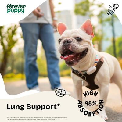 Show full view: Forever Puppy Lung Support Drops Respiratory Supplement for Dogs, 4-fl oz bottle slide 3 of 10