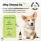 Show in main carousel: Forever Puppy Lung Support Drops Respiratory Supplement for Dogs, 4-fl oz bottle slide 5 of 10
