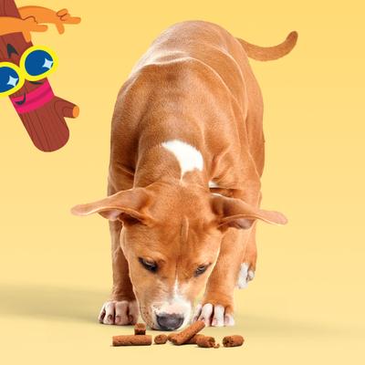 Show full view: BARK Beefy Meat Hunks Beef Recipe Soft & Chewy Dog Treats, 10-oz bag slide 7 of 10