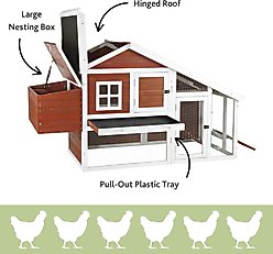 TRIXIE natura 72-in Enclosed Outdoor Chicken Coop, 2 Chicken Capacity, Auburn/White slide 2 of 7