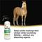 Show in main carousel: Absorbine ShowSheen Stain Remover & Whitener Horse Spray, 20-fl oz bottle slide 2 of 5