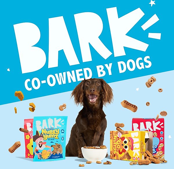 BARK Beefy Meat Hunks Beef Recipe Soft & Chewy Dog Treats, 10-oz bag