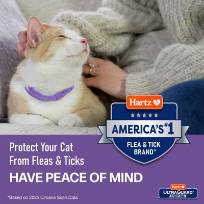 Show full view: Hartz UltraGuard ProMax Flea & Tick Cat Collar, Purple, 2 count slide 8 of 10