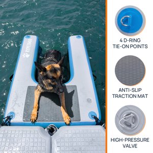 RYPetmia Single-Layer Inflatable Dog Climbing Ladder, Blue