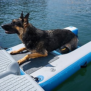 RYPetmia Single-Layer Inflatable Dog Climbing Ladder, Blue