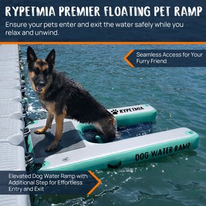 RYPetmia Single-Layer Inflatable Dog Climbing Ladder, Green