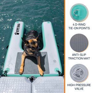 RYPetmia Single-Layer Inflatable Dog Climbing Ladder, Green