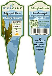 HydrOasis Red Jungle Vallisneria Submerged Potted Live Fish Plant, 3 count slide 2 of 5