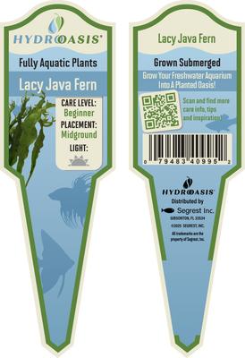 Show full view: HydrOasis Lacy Java Fern Submerged Potted Live Fish Plant, 3 count slide 5 of 6