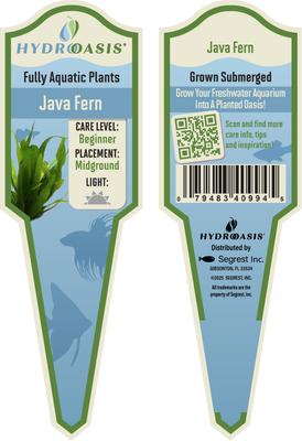 Show full view: HydrOasis Java Fern Submerged Potted Live Fish Plant, 3 count slide 5 of 6