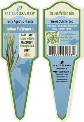 Show full view: HydrOasis Italian Vallisneria Submerged Potted Live Fish Plant, 3 count slide 5 of 6