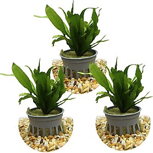 AquaForest Reef Salt Mix for Aquariums