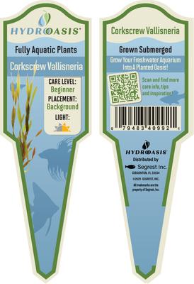 Show full view: HydrOasis Corkscrew Vallisneria Submerged Potted Live Fish Plant, 3 count slide 5 of 6