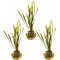 Show in main carousel: HydrOasis Italian Vallisneria Submerged Potted Live Fish Plant, 3 count slide 1 of 6