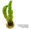 Show in main carousel: HydrOasis Green Myrio Submerged Potted Live Fish Plant, 3 count slide 2 of 6