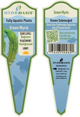 Show full view: HydrOasis Green Myrio Submerged Potted Live Fish Plant, 3 count slide 5 of 6