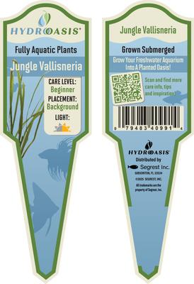 Show full view: HydrOasis Jungle Vallisneria Submerged Potted Live Fish Plant, 3 count slide 5 of 6