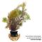 Show in main carousel: HydrOasis Red Myrio Submerged Potted Live Fish Plant, 3 count slide 2 of 6