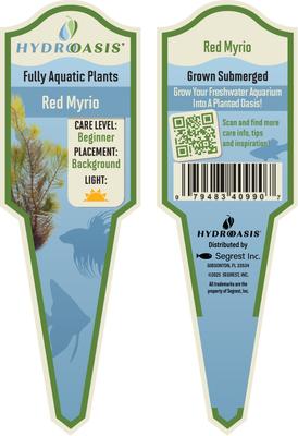 Show full view: HydrOasis Red Myrio Submerged Potted Live Fish Plant, 3 count slide 5 of 6