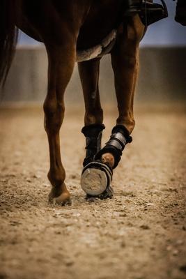 Show full view: Stubben Airflow Brushing Fleece Lined Horse Boots, Black, Medium slide 8 of 8