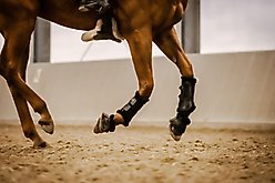 Stubben Airflow Brushing Fleece Lined Horse Boots, Black, Medium slide 2 of 8