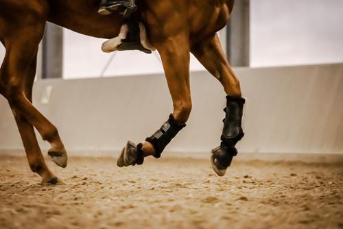 Show full view: Stubben Airflow Brushing Fleece Lined Horse Boots, Black, Medium slide 7 of 8
